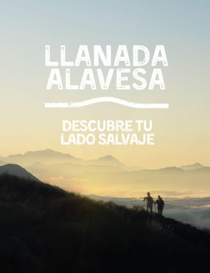 Descubre tu lado salvaje