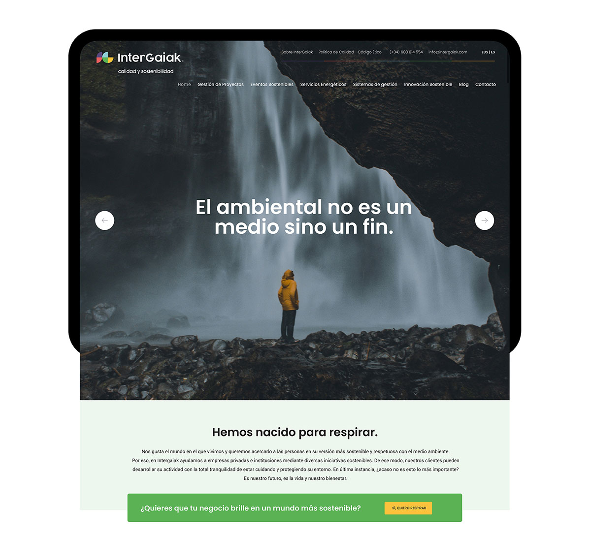 web intergaiak - diseño