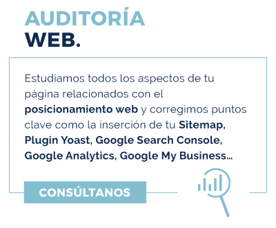 auditoría web